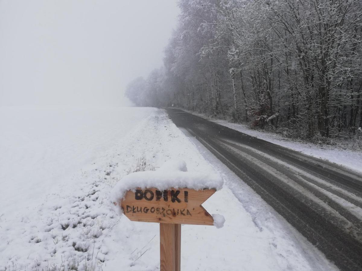 Villa Domki Caloroczne Dlugoszowka Pod Rzeszowem Ruska Bania, Basen Zaborow  Exterior foto