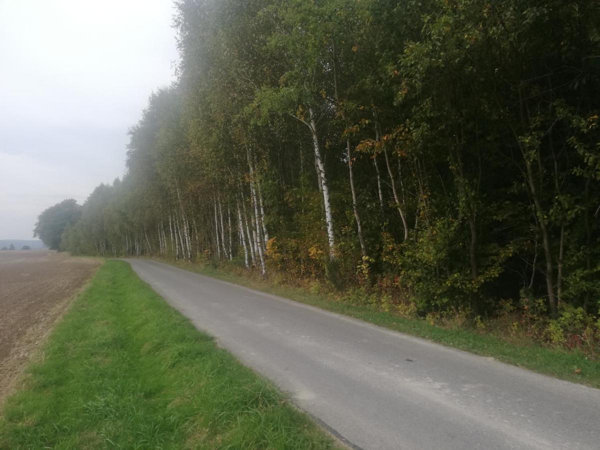 Villa Domki Caloroczne Dlugoszowka Pod Rzeszowem Ruska Bania, Basen Zaborow  Exterior foto