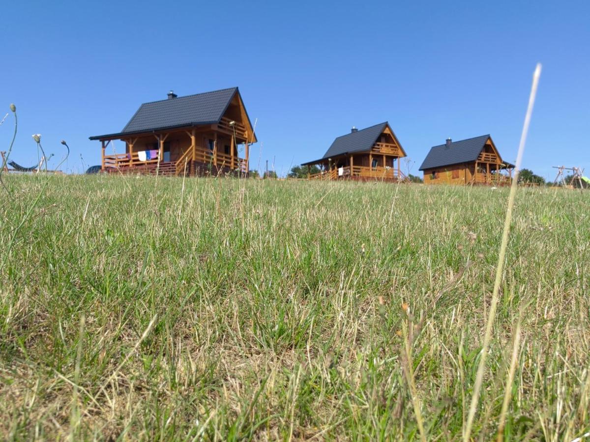 Villa Domki Caloroczne Dlugoszowka Pod Rzeszowem Ruska Bania, Basen Zaborow  Exterior foto