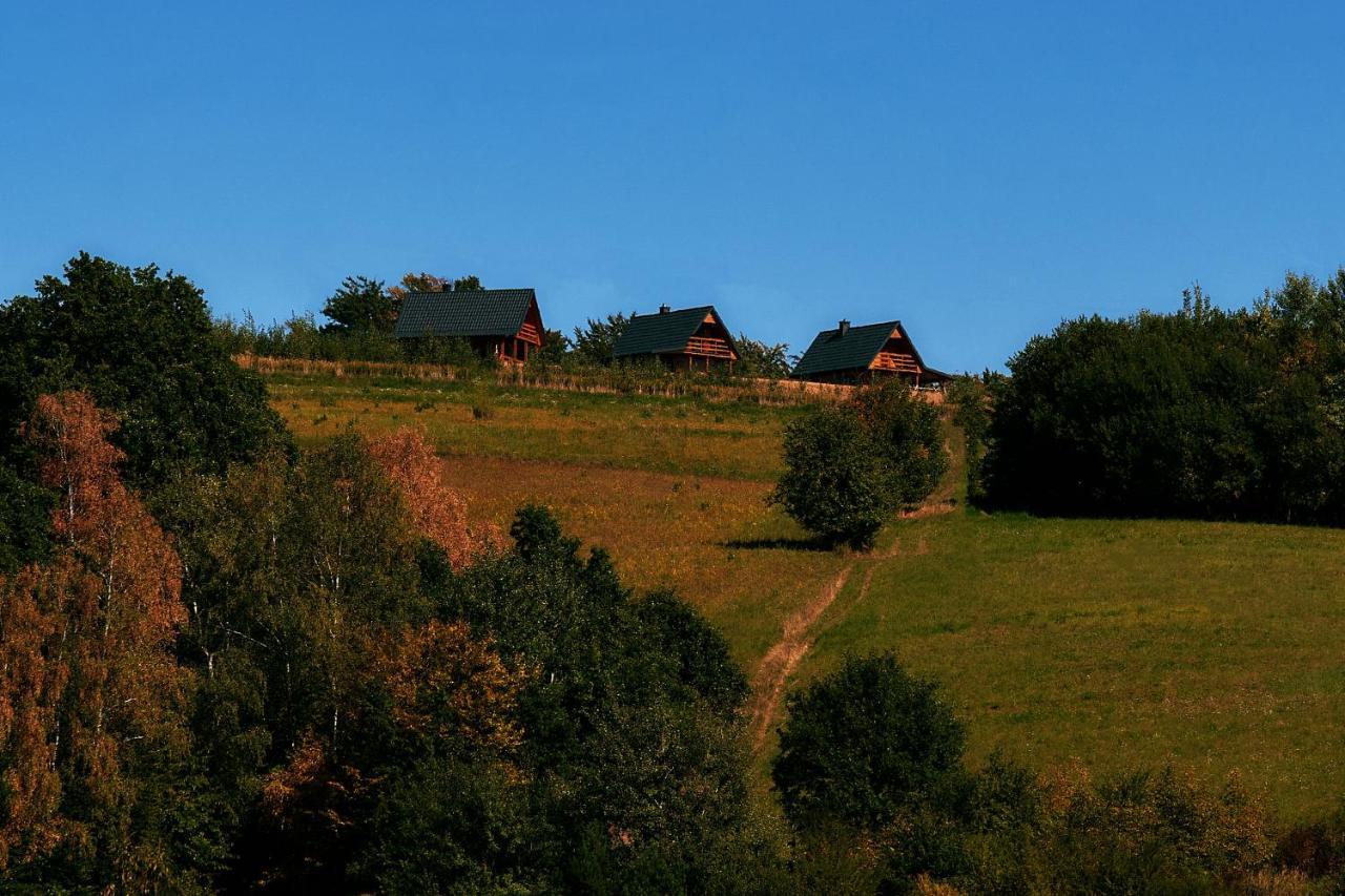 Villa Domki Caloroczne Dlugoszowka Pod Rzeszowem Ruska Bania, Basen Zaborow  Exterior foto